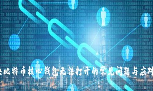  解决比特币核心钱包无法打开的常见问题与应对策略