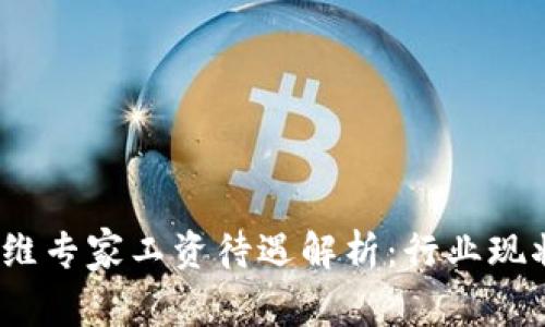 Web3海外运维专家工资待遇解析：行业现状与未来趋势