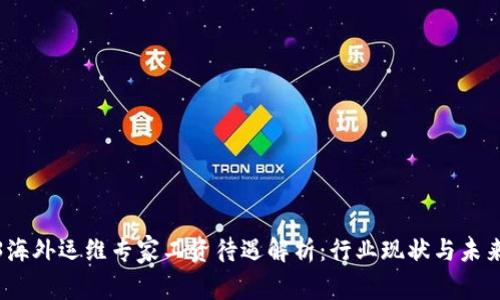 Web3海外运维专家工资待遇解析：行业现状与未来趋势
