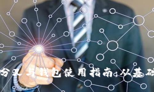 比特币分叉与钱包使用指南：从基础到实战