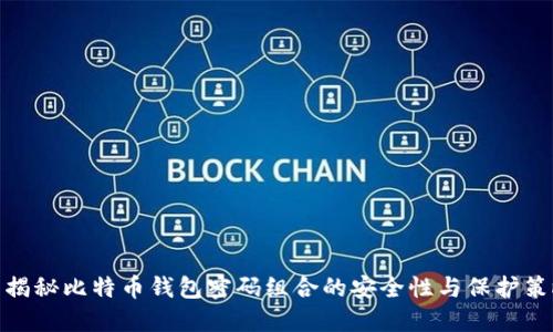 : 揭秘比特币钱包密码组合的安全性与保护策略