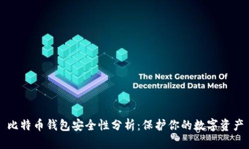 比特币钱包安全性分析：保护你的数字资产