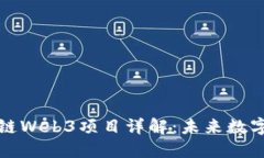 全球最大公链Web3项目详解