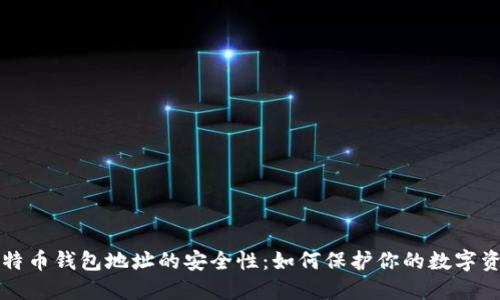 比特币钱包地址的安全性：如何保护你的数字资产