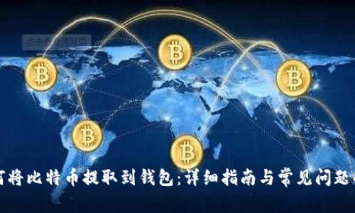 如何将比特币提取到钱包：详细指南与常见问题解答