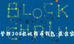 如何安全管理300枚比特币