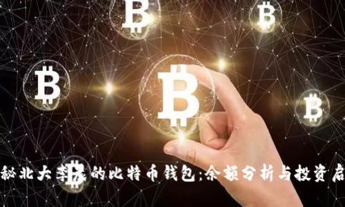 探秘北大李晨的比特币钱包：余额分析与投资启示