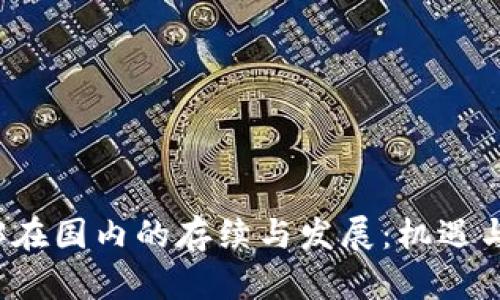 Web3在国内的存续与发展:机遇与挑战