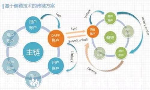 
如何选择合适的APP比特币钱包：新手必读指南