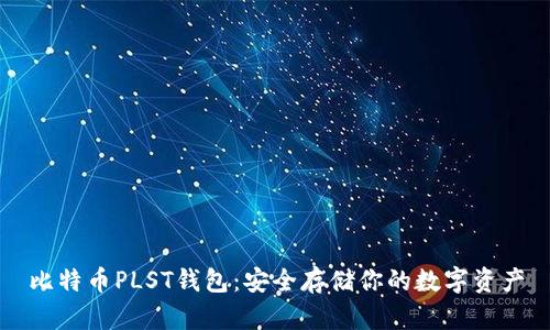 比特币PLST钱包：安全存储你的数字资产