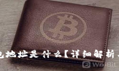 比特币钱包地址是什么？详细解析与使用指南