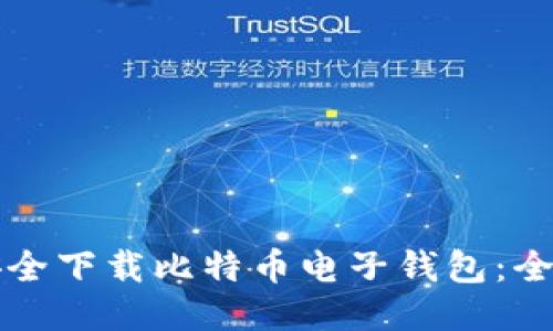 如何安全下载比特币电子钱包：全面指南