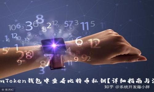 如何在imToken钱包中查看比特币私钥？详细指南与注意事项