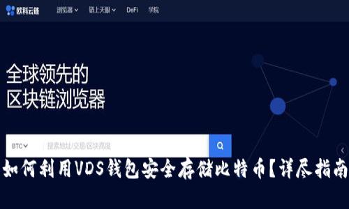 如何利用VDS钱包安全存储比特币？详尽指南