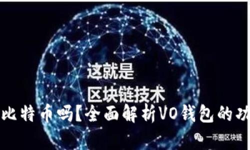 VO钱包能存比特币吗？全面解析VO钱包的功能与安全性