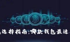  比特币钱包选择指南：哪