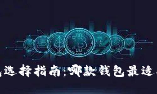  比特币钱包选择指南：哪款钱包最适合您的需求？