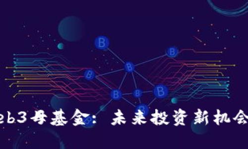 揭秘Web3母基金: 未来投资新机会与挑战