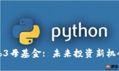 揭秘Web3母基金: 未来投资