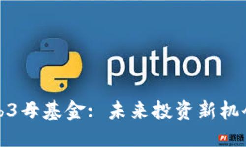 揭秘Web3母基金: 未来投资新机会与挑战