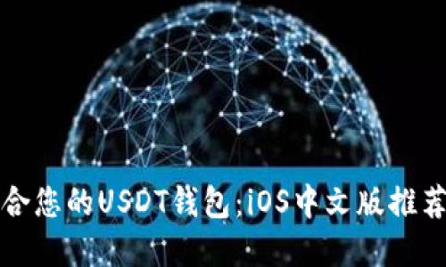 如何选择适合您的USDT钱包:iOS中文版推荐与使用指南