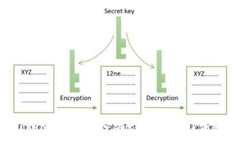 如何在imToken钱包中导入柴犬币（SHIB）？详细步骤与技巧