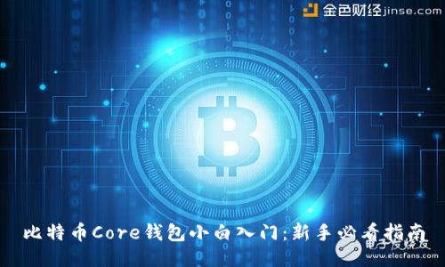 比特币Core钱包小白入门：新手必看指南
