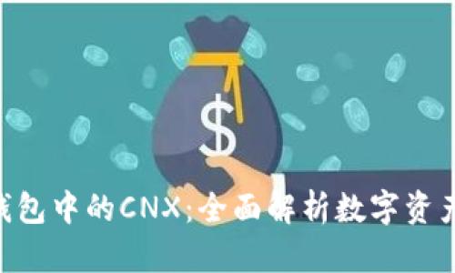 : imToken钱包中的CNX：全面解析数字资产管理新方式