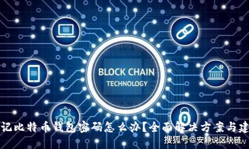 忘记比特币钱包密码怎么办？全面解决方案与建议