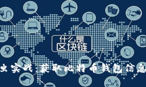 Python 爬虫实战：获取比特币钱包信息的全面指南