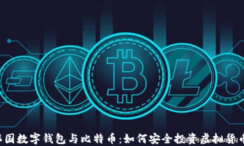 
韩国数字钱包与比特币：如何安全投资虚拟货币？