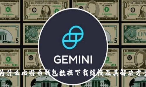 为什么比特币钱包数据下载缓慢及其解决方案