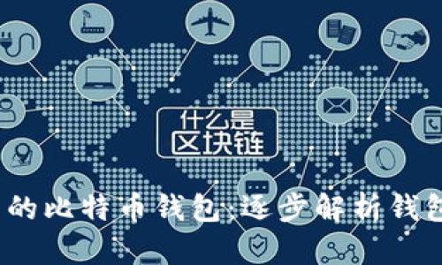 如何选择安全、实用的比特币钱包：逐步解析钱包数据块的关键要素