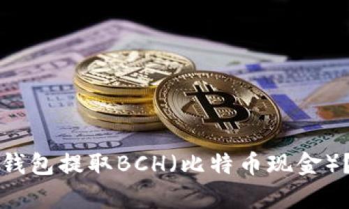如何从比特币钱包提取BCH（比特币现金）？详细步骤解析