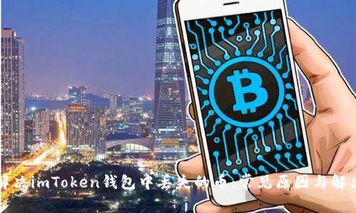 如何解决imToken钱包中丢失的币：常见原因与解决方法