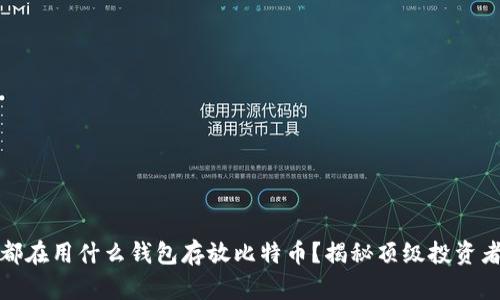 大佬们都在用什么钱包存放比特币？揭秘顶级投资者的选择