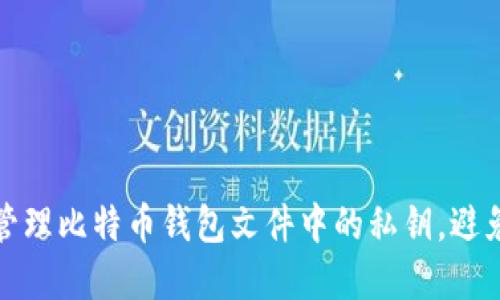 如何安全管理比特币钱包文件中的私钥，避免资产损失