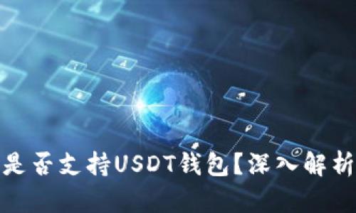 哈萨克斯坦是否支持USDT钱包？深入解析及使用指南