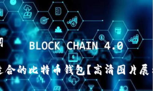 内容和关键词

如何选择最适合的比特币钱包？高清图片展示与入门指南