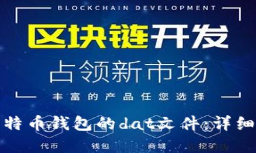 如何打开比特币钱包的dat文件：详细指南和技巧