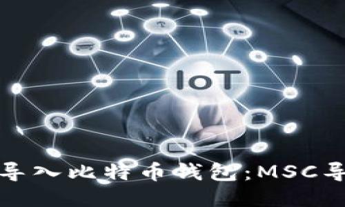 如何轻松导入比特币钱包：MSC导入全攻略