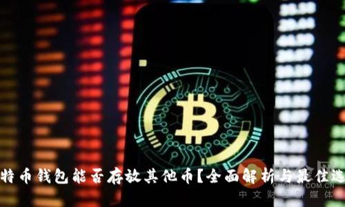 比特币钱包能否存放其他币？全面解析与最佳选择