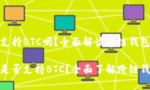 imToken钱包支持BTC吗？全面解读跨链钱包的多样化功能

imToken钱包是否支持BTC？全面了解跨链钱包的多种功能