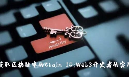 如何获取区块链中的Chain ID：Web3开发者的实用指南
