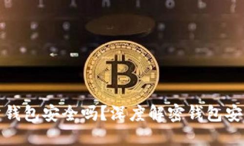 比特币官方网站钱包安全吗？深度解密钱包安全性与保护策略