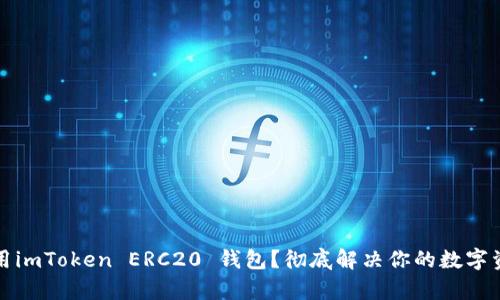 如何安全使用imToken ERC20 钱包？彻底解决你的数字资产管理痛点