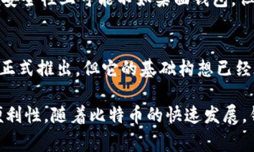 在2009年，比特币刚刚问世，仍处于非常早期的阶段。当时主要的比特币钱包有以下几种：

1. **Bitcoin Core（原名 Satoshi客户端）**：
   - 这是比特币的第一个钱包，由比特币的创始人中本聪开发。它是一个全节点客户端，意味着它下载整个比特币区块链以进行交易验证。虽然功能强大，但由于需要大量存储空间和带宽，使用起来相对不便。

2. **Multibit**：
   - Multibit是一个轻量级的钱包，旨在使比特币的使用更简便。它并不需要下载整个区块链，因此占用更少的存储空间，非常适合初学者。

3. **Armory**：
   - Armory是一个高级比特币钱包，适合希望进行更深入管理的用户。它提供了许多安全功能，如离线存储和多重签名，然而它的操作复杂性也让初学者难以上手。

4. **Blockchain.info（现称Blockchain.com）**：
   - 这个在线钱包提供了简单易用的界面，用户不需要下载任何软件即可使用。尽管在安全性上可能不如桌面钱包，但对于用户来说非常方便。

5. **Mycelium**：
   - Mycelium是一款移动钱包，适合使用智能手机的比特币用户。虽然在2009年并未正式推出，但它的基础构想已经在当时萌芽，后来在智能手机普及时获得了极大的人气。

这些钱包在当时的功能和用户群体上各有不同，有些更注重安全性，有些则强调用户的便利性。随着比特币的快速发展，钱包的种类和功能也在不断演进，用户根据自身的需求选择适合自己的钱包。