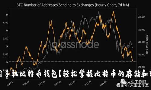 如何使用手机比特币钱包？轻松掌握比特币的存储和转账技巧