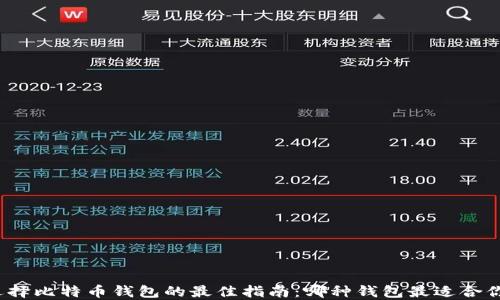 
选择比特币钱包的最佳指南：哪种钱包最适合你？