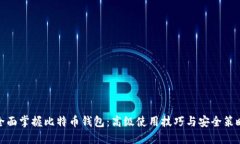全面掌握比特币钱包：高级使用技巧与安全策略
